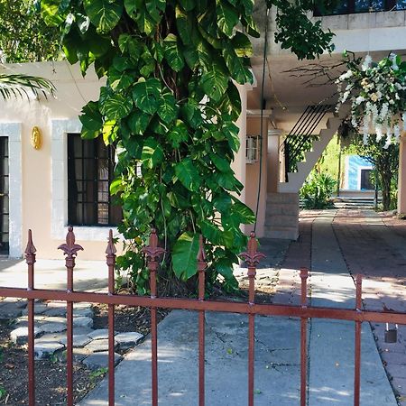 Hostal Y Camping Villa Mercedes Tizimín Kültér fotó