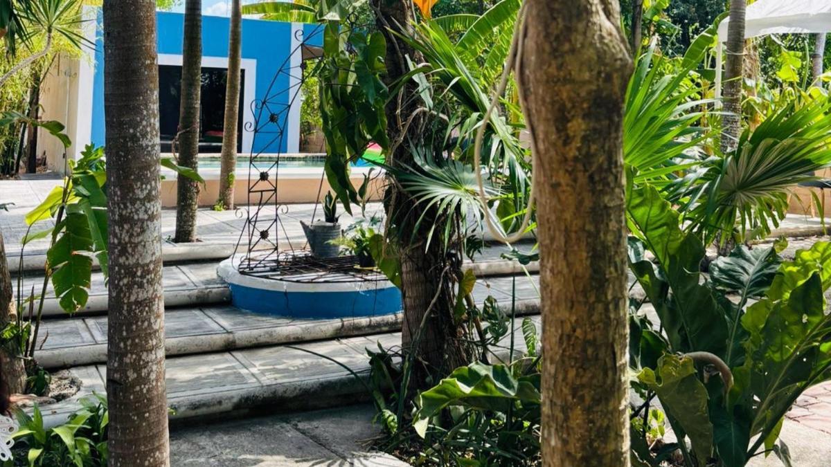 Hostal Y Camping Villa Mercedes Tizimín Kültér fotó